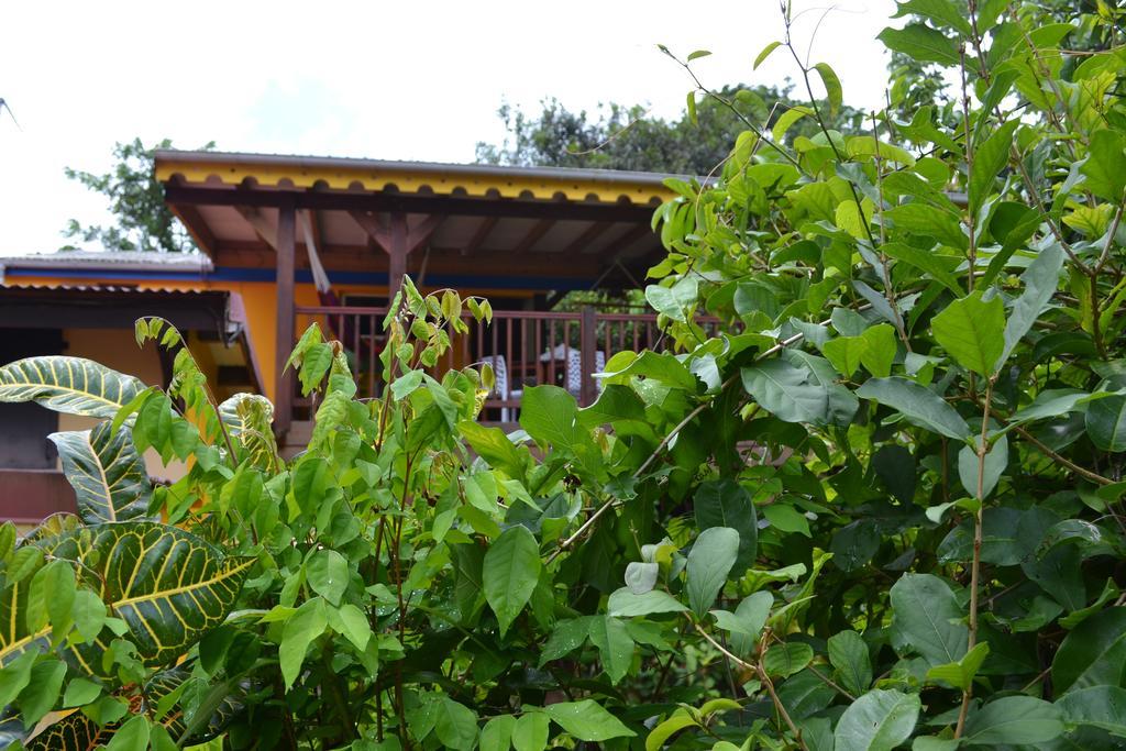 L'Ecomusee Creole De La Guadeloupe Сент-Роз Екстер'єр фото
